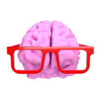 el rosado cerebro y rojo lentes para ciencia o educación concepto 3d representación. png