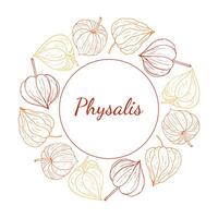 Physalis circular decorative frame. Organic healthy food wreath with space for text. Vector illustration for wallpaper, wrapping paper, package design, and background.