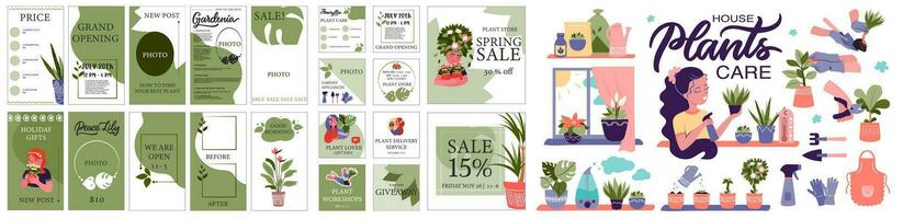 Big set of Template designs for flower infographic houseplant care. The information graphic posts, stories vector