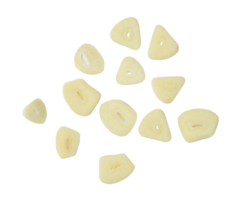 Top view set of white garlic slices isolated with clipping path in png file format