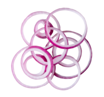 Onion slices or rings in stack isolated with clipping path in png file format. Top view and flat lay