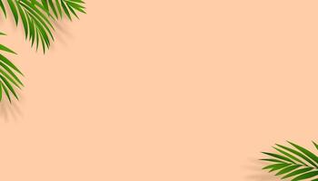 Peach Fuzz Background with Coconut Palm Leaves Shadow.Vector Banner for Spring Summer,Backdrop Web Design Banner with copy space for Text for Cosmetic Skincare, Beauty Product Present Sale, Promotion vector