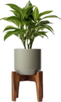 AI generated indoor plant in a pot on a wooden stool png