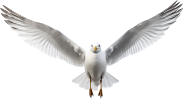 ai généré mer mouette png