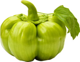 AI generated green pattypan squash png