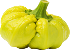 ai gegenereerd groen pattypan squash PNG