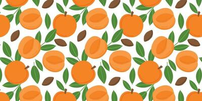 Fruits of apricot on a white color background. Apricot with leaves vector pattern. Seamless vector floral pattern. Repeating design for fabric, drawing labels, wallpaper, fruit background.