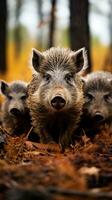 ai generado un familia de salvaje jabalíes alimentándose mediante el bosque piso, su distintivo hocicos y erizado piel en lleno monitor foto