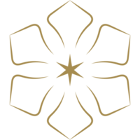 tribal geometric pattern icon. transparent pattern illustration png