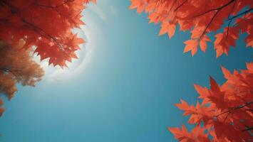 AI generated Autumn leaves on blue sky background with copy space for adv or others purpose use. generative ai photo