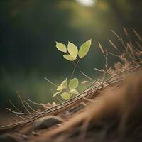 AI generated Young green sprout on the background of the old wooden roof. generative ai photo