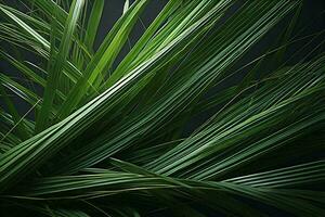 AI generated Palm leaves on dark background, close up. Tropical background. generative ai photo