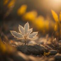 AI generated A small plant on the ground in the rays of the setting sun. generative ai photo