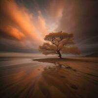 ai generado solitario árbol en el playa en el noche, generativo ai foto