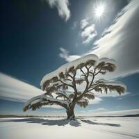 AI generated Frozen tree on a snowy field with blue sky and white clouds. generative ai photo