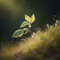 ai generado joven verde planta creciente en cubierto de musgo suelo en bosque. generativo ai foto