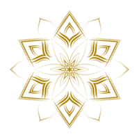 nero mandala modello icona silhouette png