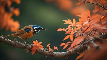 AI generated closeup shot of a beautiful bird on a branch in the forest. generative ai photo