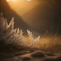 AI generated Frosted grass on the edge of a wooden path at sunset. generative ai photo