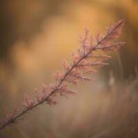 AI generated Autumnal dry grass background with shallow depth of field and selective focus. generative ai photo