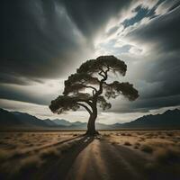 AI generated Pine tree in the desert with dramatic sky. generative ai photo