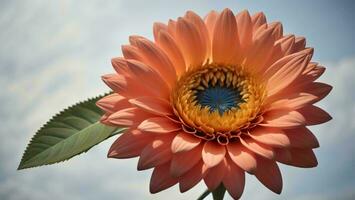 AI generated Beautiful orange dahlia flower on a background of blue sky. generative ai photo