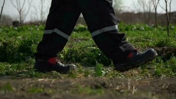 AI generated Close up of the legs of a man walking through the garden photo