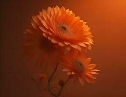 AI generated Orange gerbera flowers on a dark background. generative ai photo