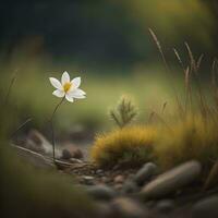 AI generated White flower on the ground in the forest. Shallow depth of field. generative ai photo