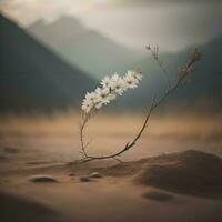 ai generado flores en el Desierto a atardecer, Clásico filtrar efecto y suave enfocar. generativo ai foto