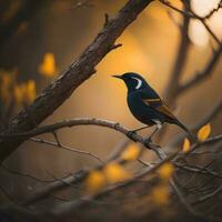 ai generado de cerca Disparo de un hermosa pájaro en un rama en el bosque. generativo ai foto