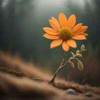 AI generated Beautiful orange flower in the middle of the forest with fog. generative ai photo