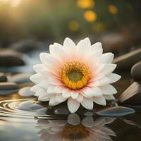 ai generado hermosa blanco loto flor en el agua con luz de sol antecedentes. generativo ai foto