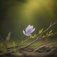 AI generated Purple crocus flower in the forest with soft bokeh. generative ai photo