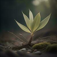 AI generated Young plant in the forest. Conceptual image for environmental conservation. generative ai photo