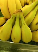 un plátano peine. un sano Fruta foto