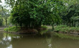 Nature landscape. a morning view of geo city park. photo