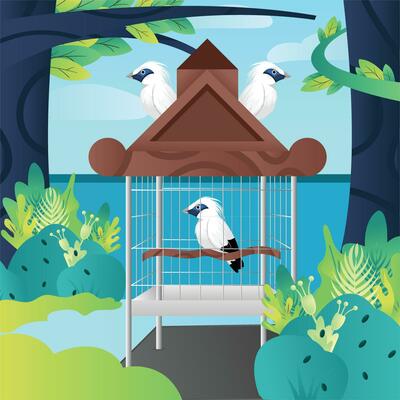 vector illustration of Jalak Bali in a cage