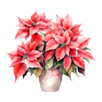 AI generated watercolor of a bunch of red poinsettias. AI generated image png