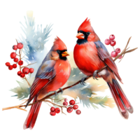 AI generated red cardinal sitting on a branch with berries. AI generated image png