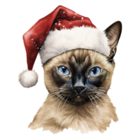 ai generado siamés gato vistiendo un Papa Noel sombrero. ai generado imagen png