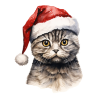 ai genererad skott vika ihop katt bär en santa hatt. ai genererad bild png