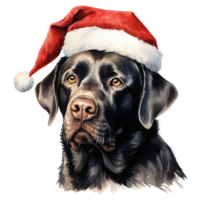 ai gegenereerd labrador retriever hond vervelend een de kerstman hoed. ai gegenereerd beeld png