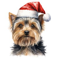 ai genererad yorkshire terrier hund bär en santa hatt. ai genererad bild png