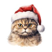 ai generiert schottisch falten Katze tragen ein Santa Hut. ai generiert Bild png