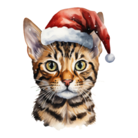 AI generated Bengal Cat Wearing a Santa Hat. AI generated image png