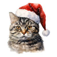 ai generado Doméstico cabello corto gato vistiendo un Papa Noel sombrero. ai generado imagen png