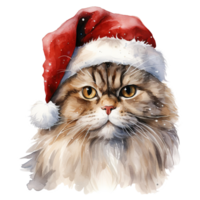 ai generado persa gato vistiendo un Papa Noel sombrero. ai generado imagen png