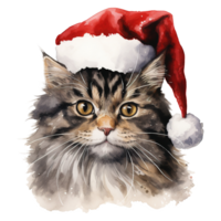 ai generiert inländisch kurzes Haar Katze tragen ein Santa Hut. ai generiert Bild png
