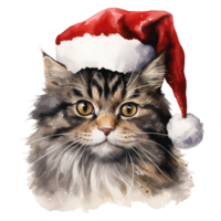 ai genererad inhemsk kort hår katt bär en santa hatt. ai genererad bild png